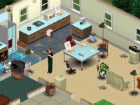 The Sims